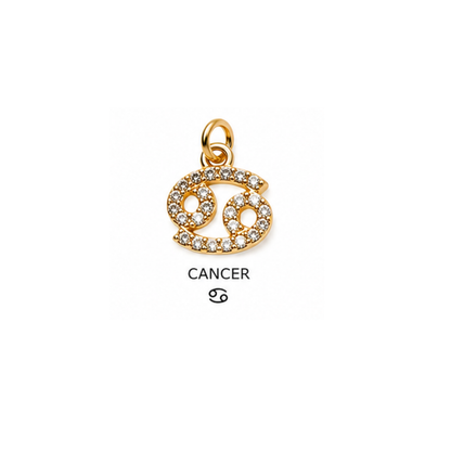 Horoscope Charm