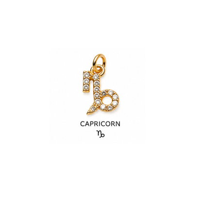 Horoscope Charm